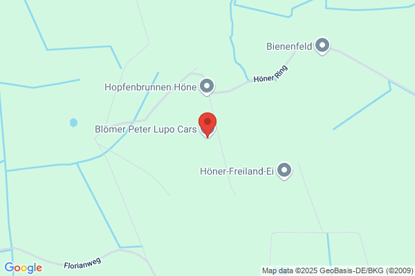 Blömer Peter Lupo Cars