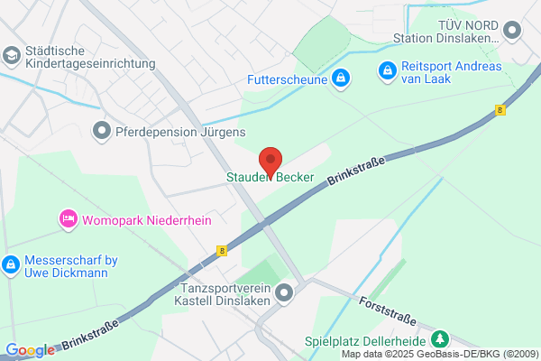 Stauden Becker GmbH