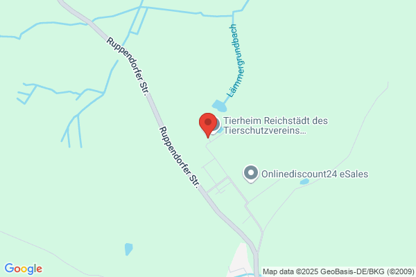 Zimmerei GmbH