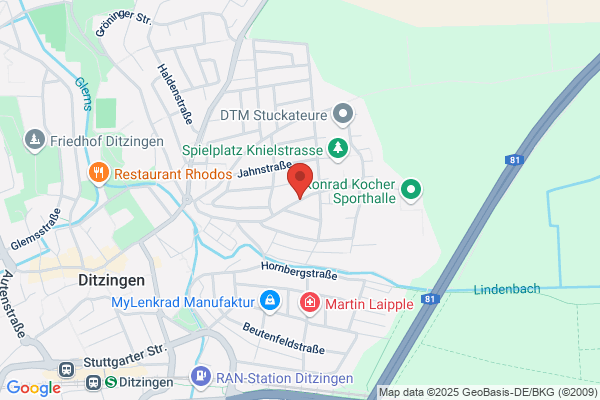 Langnau It Service GmbH