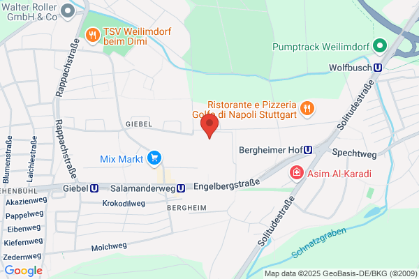 GOLDSCHMIDT Immobilien Stuttgart Gerlingen