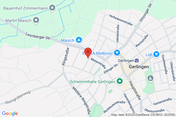 Wagner Federn GmbH