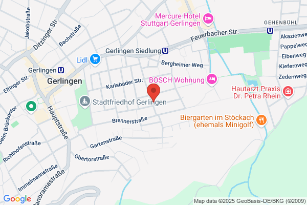 Betzler Friedrich Malerwerkstätte GmbH