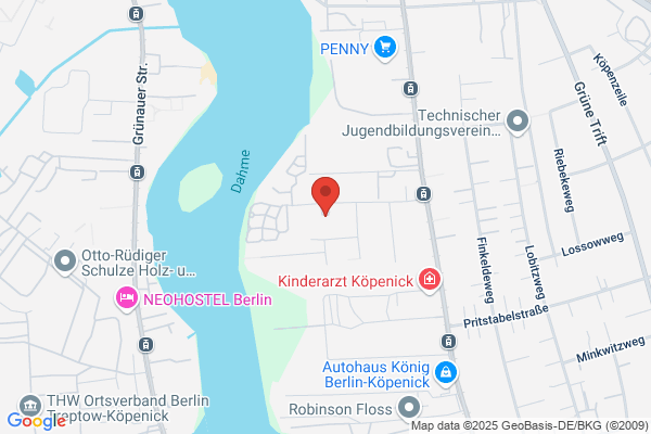 Fahrzeug-Elektro-Service