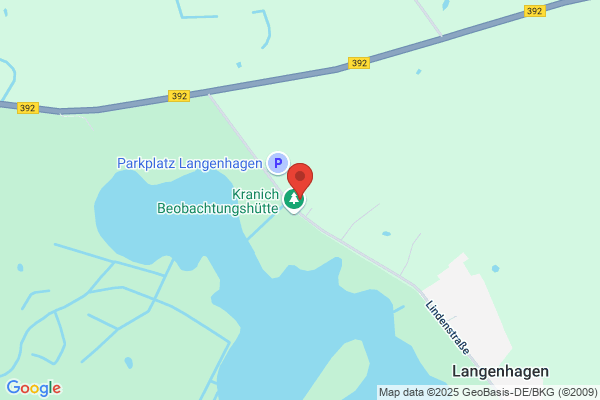 Bauwerksabdichtung Neuborn