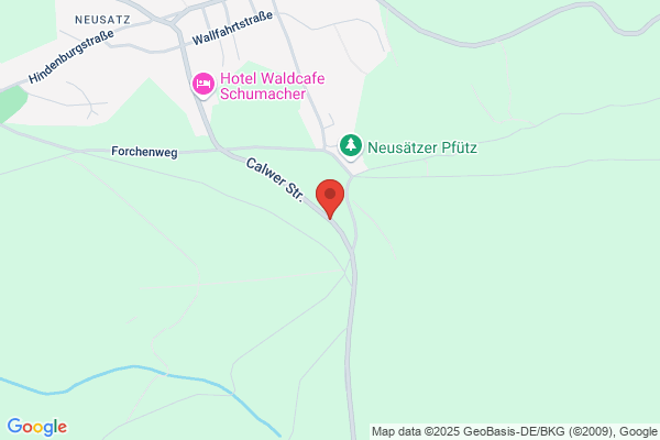 Hans Zepp