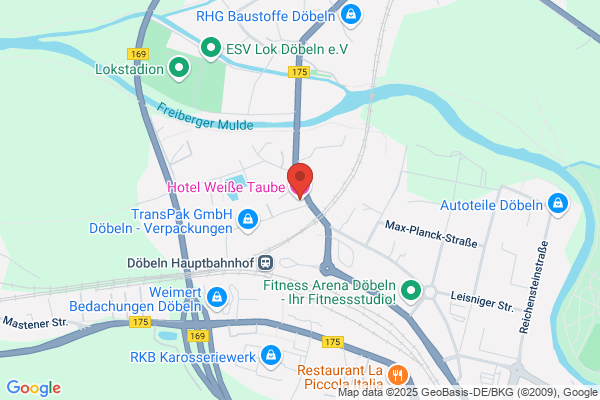 Weiße Taube