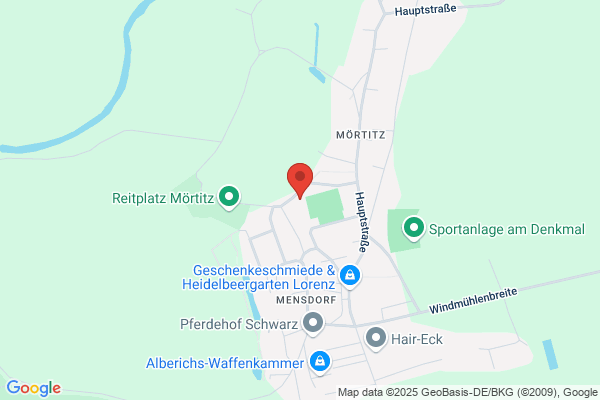 KIGA Mörtitz Sonnenkäfer