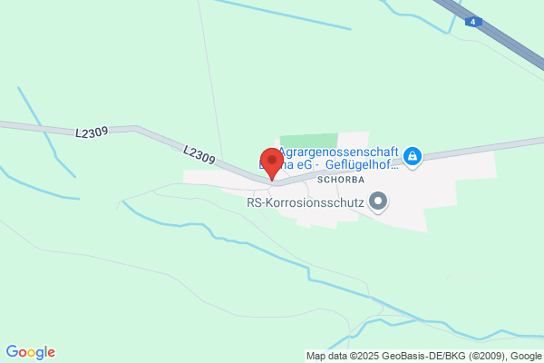 Ellen Waldau