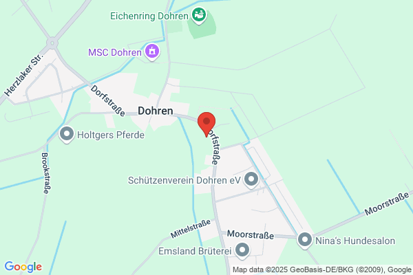 Nyenstein