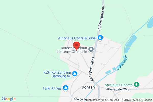 Rüdiger Wenig