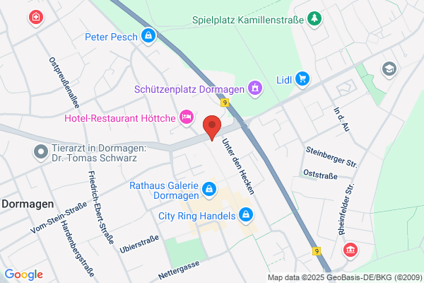 Knopp-Steven Augenoptik / Contactlinsen