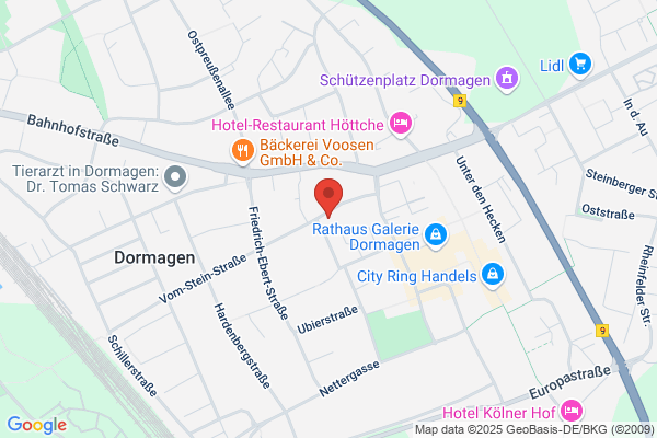 AM-Consulting GmbH