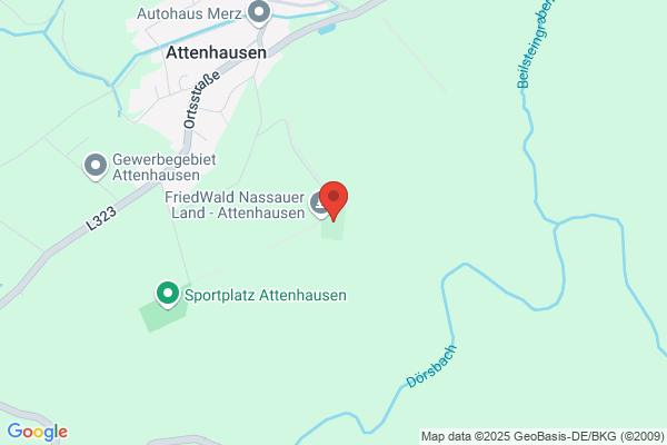 FriedWald Nassauer Land - Attenhausen