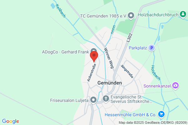 BNC Baudekoration