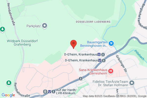 Rapf Immobilien