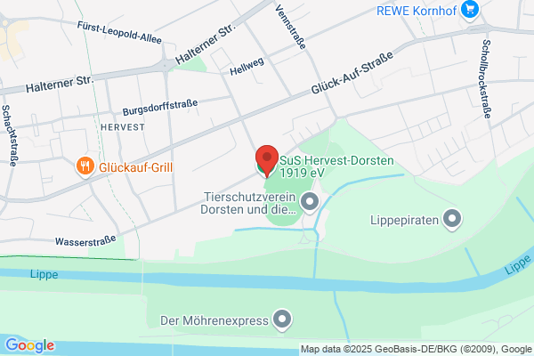 SuS Hervest Dorsten 1919
