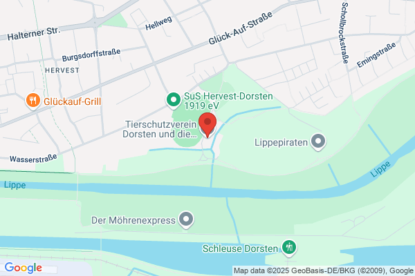 Tierschutzverein Dorsten und