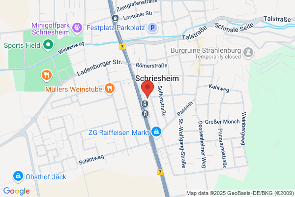 Hof-Apotheke Schriesheim