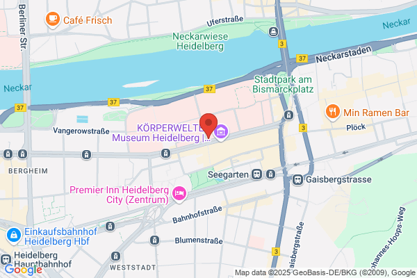 Blumenecke Inh. Karin Binzer