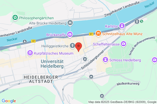 Hotel Goldener Falke