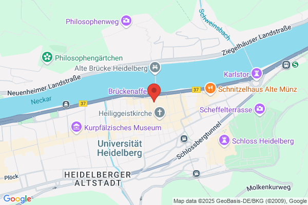 Hotel Goldener Hecht Heidelberg