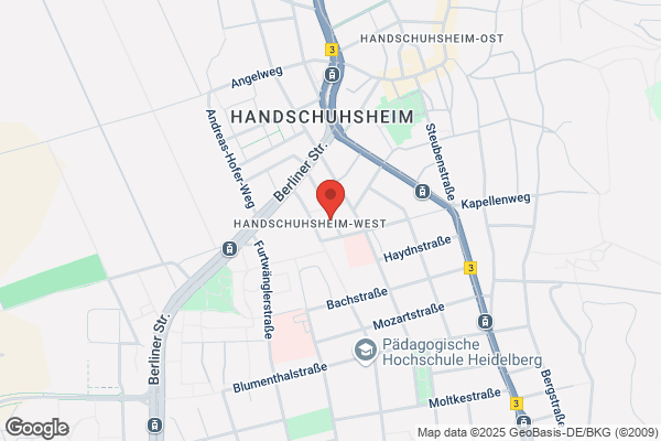 Institut für Metaconsulting Heidelberg IFMH GdbR