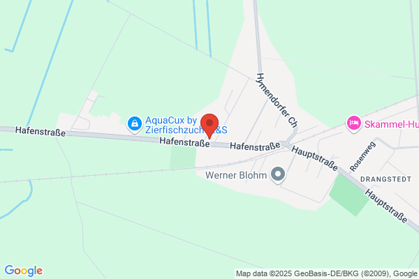 Laser Fliesenausstellung Verkauf-Verlegung