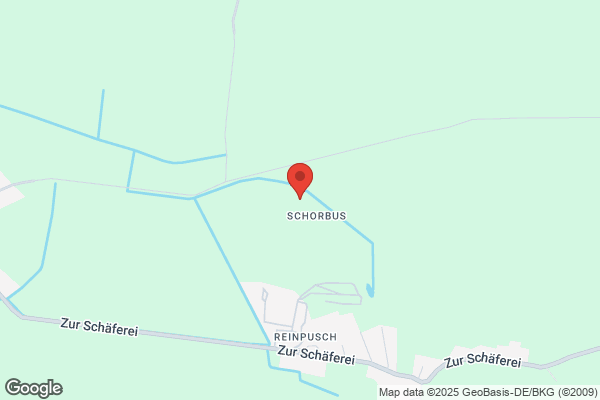 Revier Schorbus der Oberförsterei Drebkau