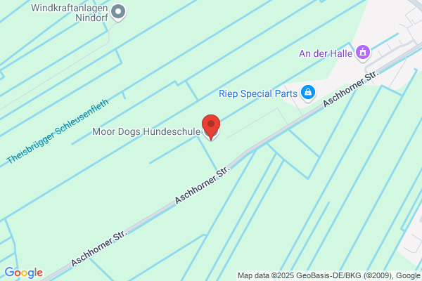 Moor Dogs Hundeschule