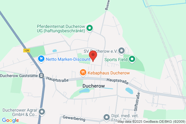 Demokratischer Frauenbund e.V.