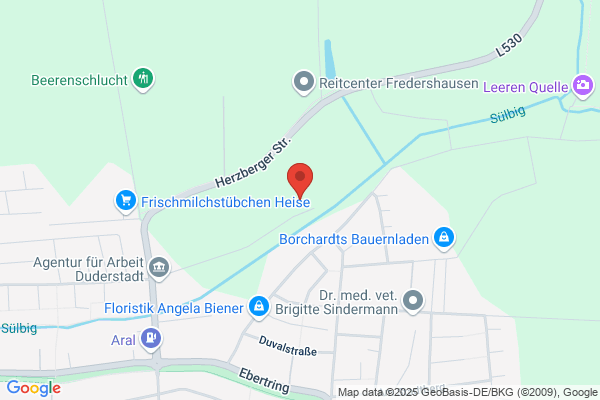 Duderstädter Bio-Energieanlage GmbH & Co KG