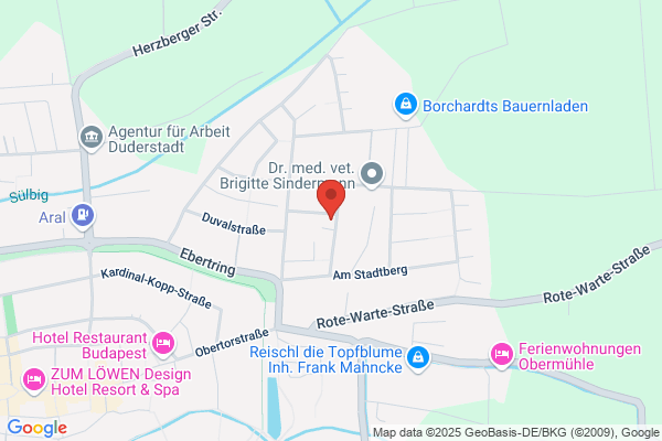 Klaus-Peter Schneegans