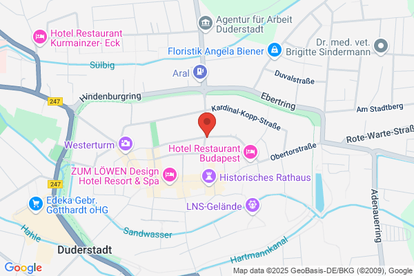 H. Riepenhausen