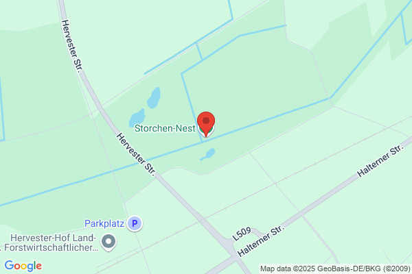 Storchennest