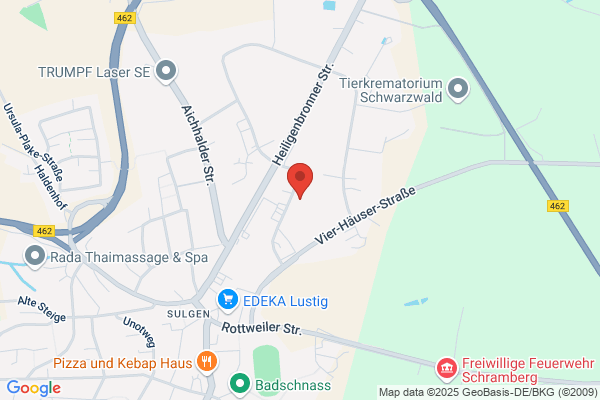 SCHWEIZER ELECTRONIC AKTIENGESELLSCHAFT
