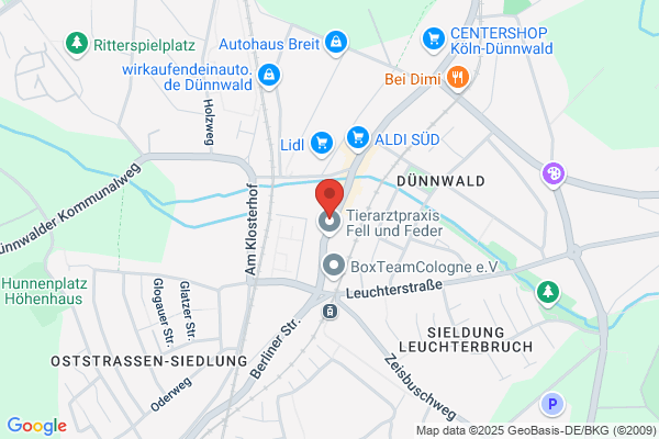 Reisebüro, Simone Fernkorn