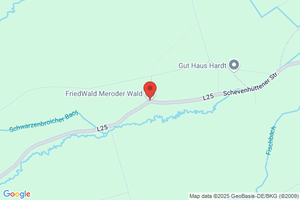 FriedWald Meroder Wald