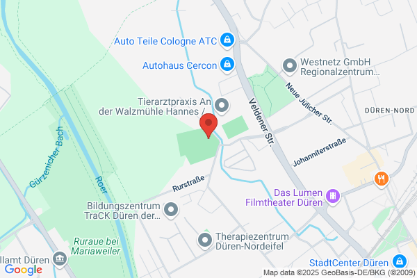 AFC Düren Demons e.V.