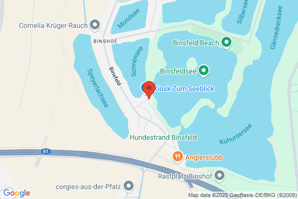 Wanderfreunde Binsfeld 2000