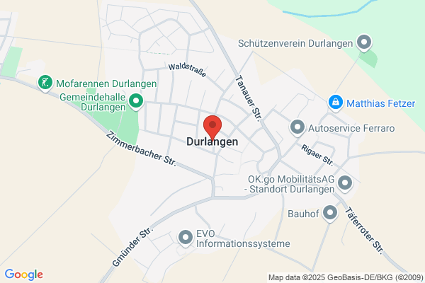 Pflüger-Consulting