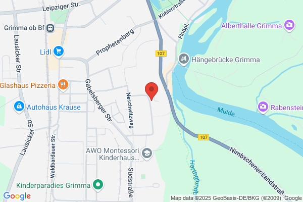 Dipl.-Stom. G. Wüstner