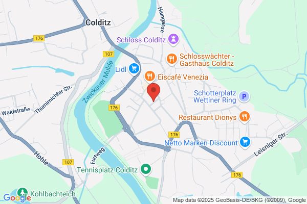 Tele-Service Colditz OHG
