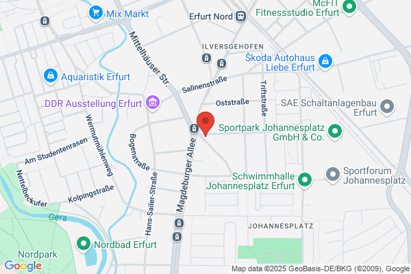 Ammann, Kohlmann, Linz