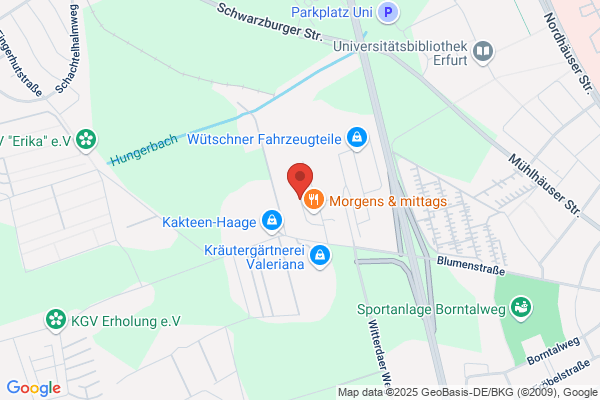 Mauerwerk-Sanierung-