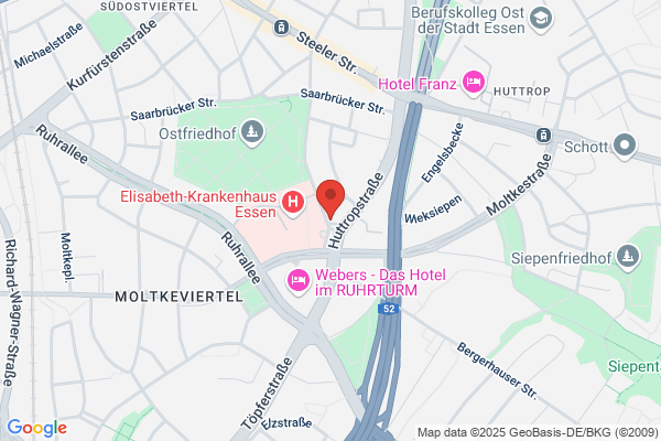 Blumen Pusteblume Floristik aller Art & Ballonzauber