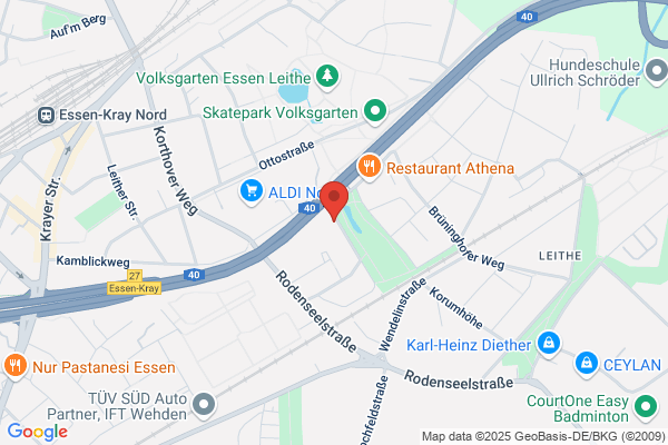 Bodenleger für farbige Korkböden Dirk Albrink