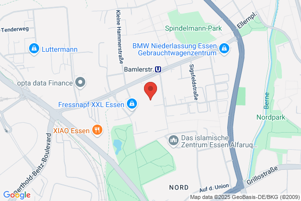 Action Essen-Altenessen