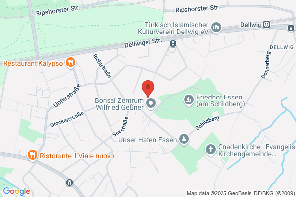 EssBewusstSein