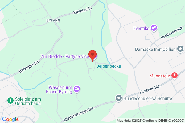 Heinz-Gerhardt Friese